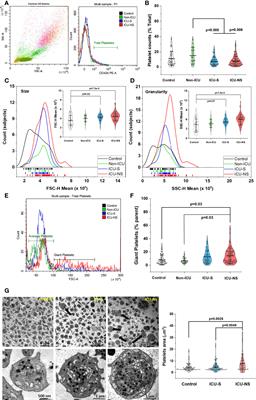 Platelets’ morphology, metabolic profile, exocytosis, and heterotypic aggregation with leukocytes in relation to severity and mortality of COVID-19-patients